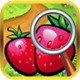 看图识水果:Fruit Find