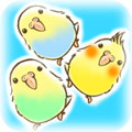 鹦鹉罗汉