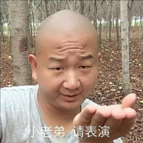 giao哥语音包