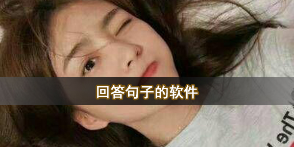回答句子的软件