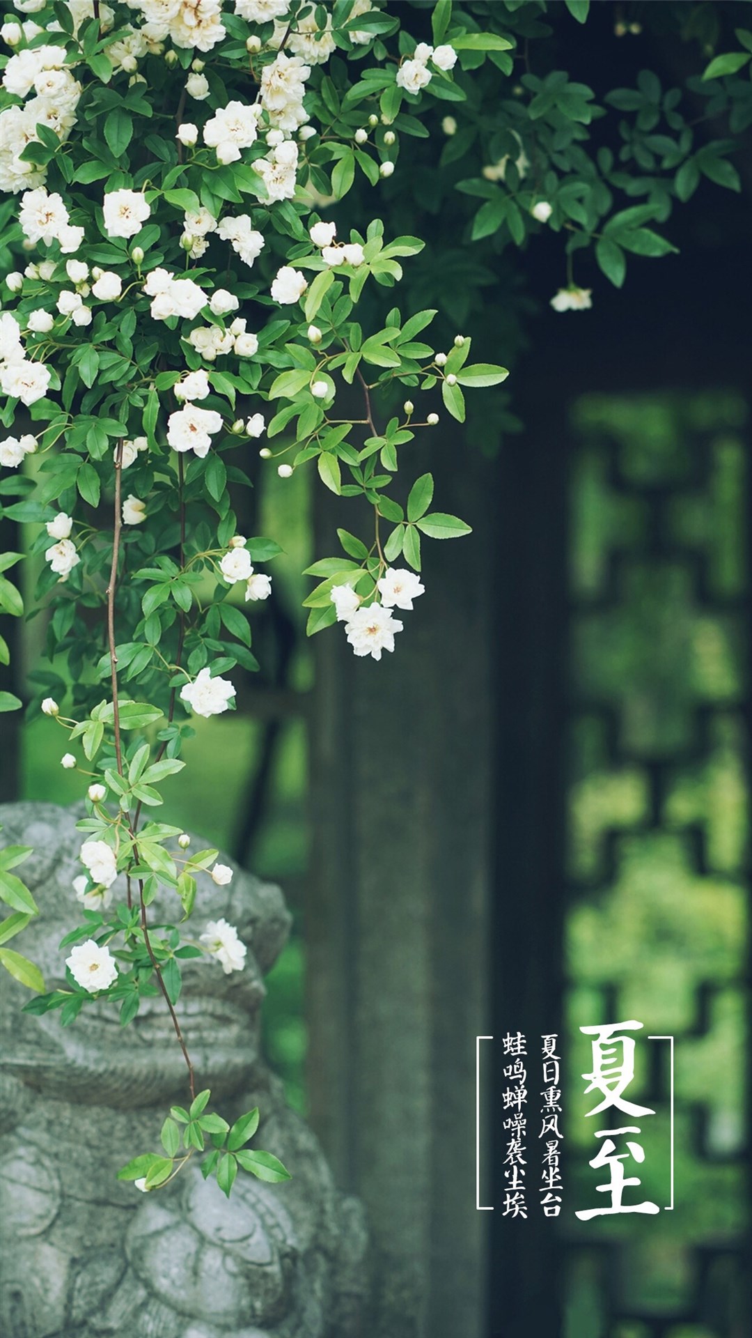 夏至清新文字创意手机壁纸