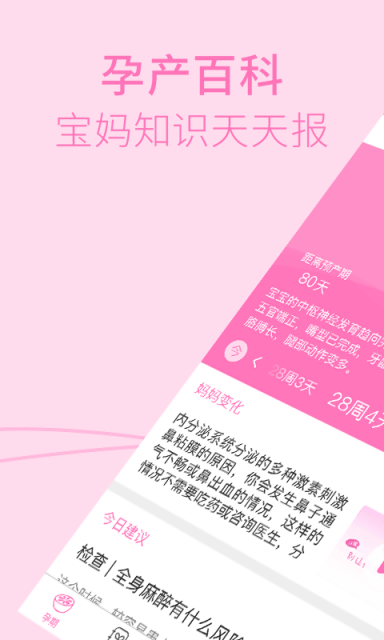 柚宝宝孕育
