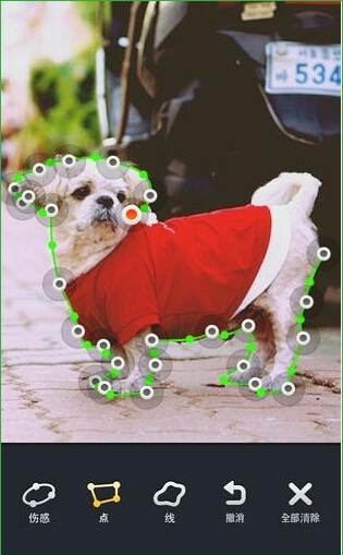 Line Camera