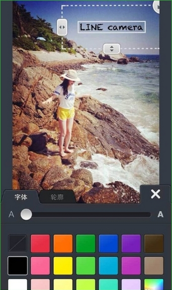 Line Camera