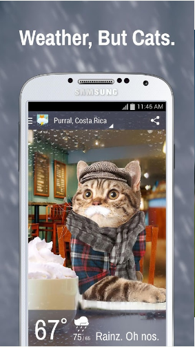 猫猫天气:Weather Whiskers