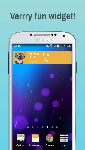 猫猫天气:Weather Whiskers