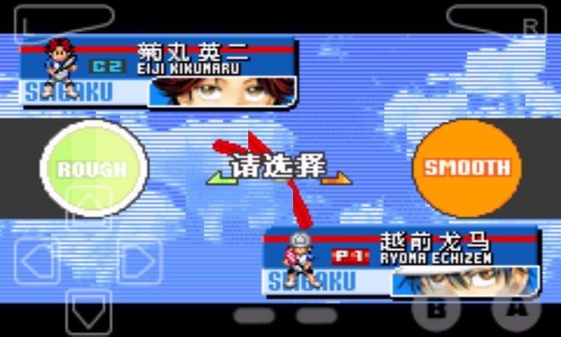 网球王子2004光荣之金