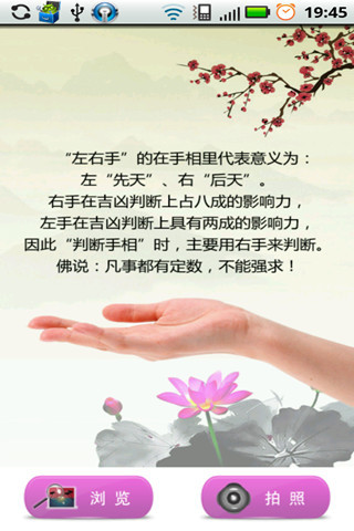 测手相(暂未上线)