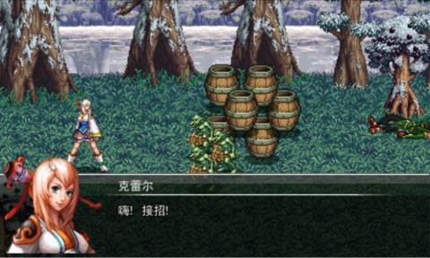 地下城与勇士卫士特权版