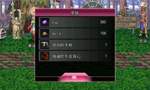 地下城与勇士卫士特权版