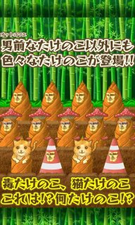 笋男子