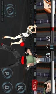 3D超越格斗