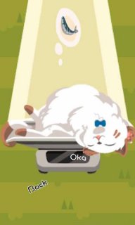 翻滚的猫咪