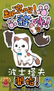 翻滚的猫咪