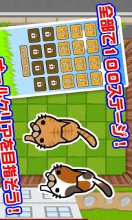猫咪大逃亡