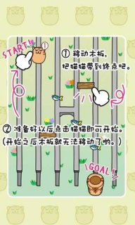 猫过马路