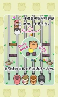 猫过马路