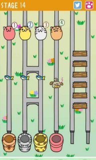 猫过马路