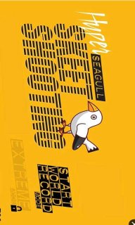 海鸥飞碟射击