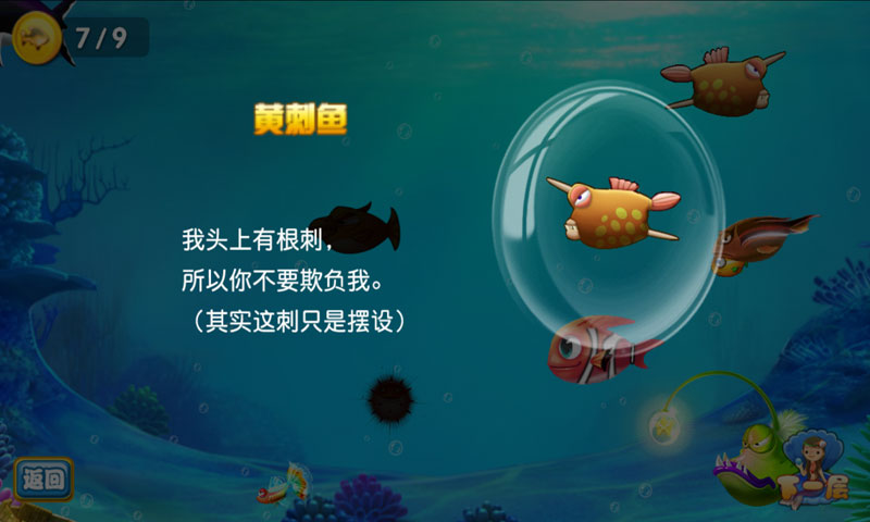 小丑鱼爱进化