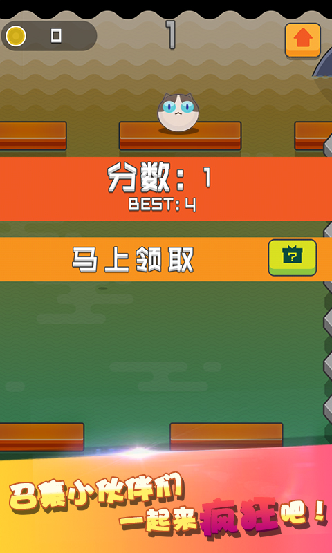 弹弹猫