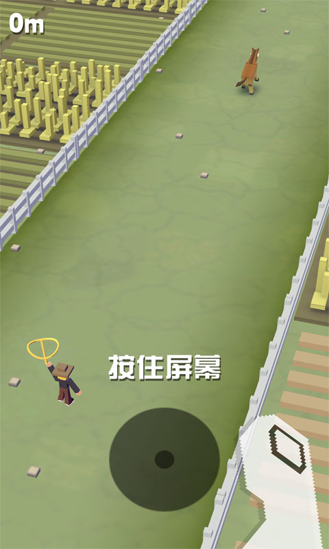 疯狂动物园