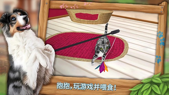 我的动物寄养所