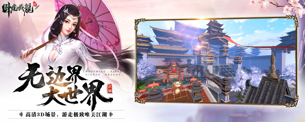 卧虎藏龙贰