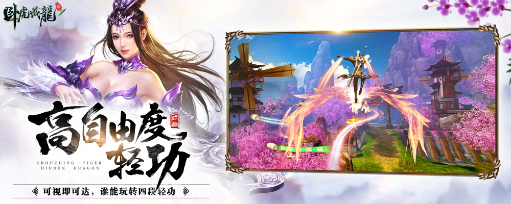 卧虎藏龙贰