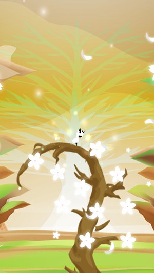 花开世界